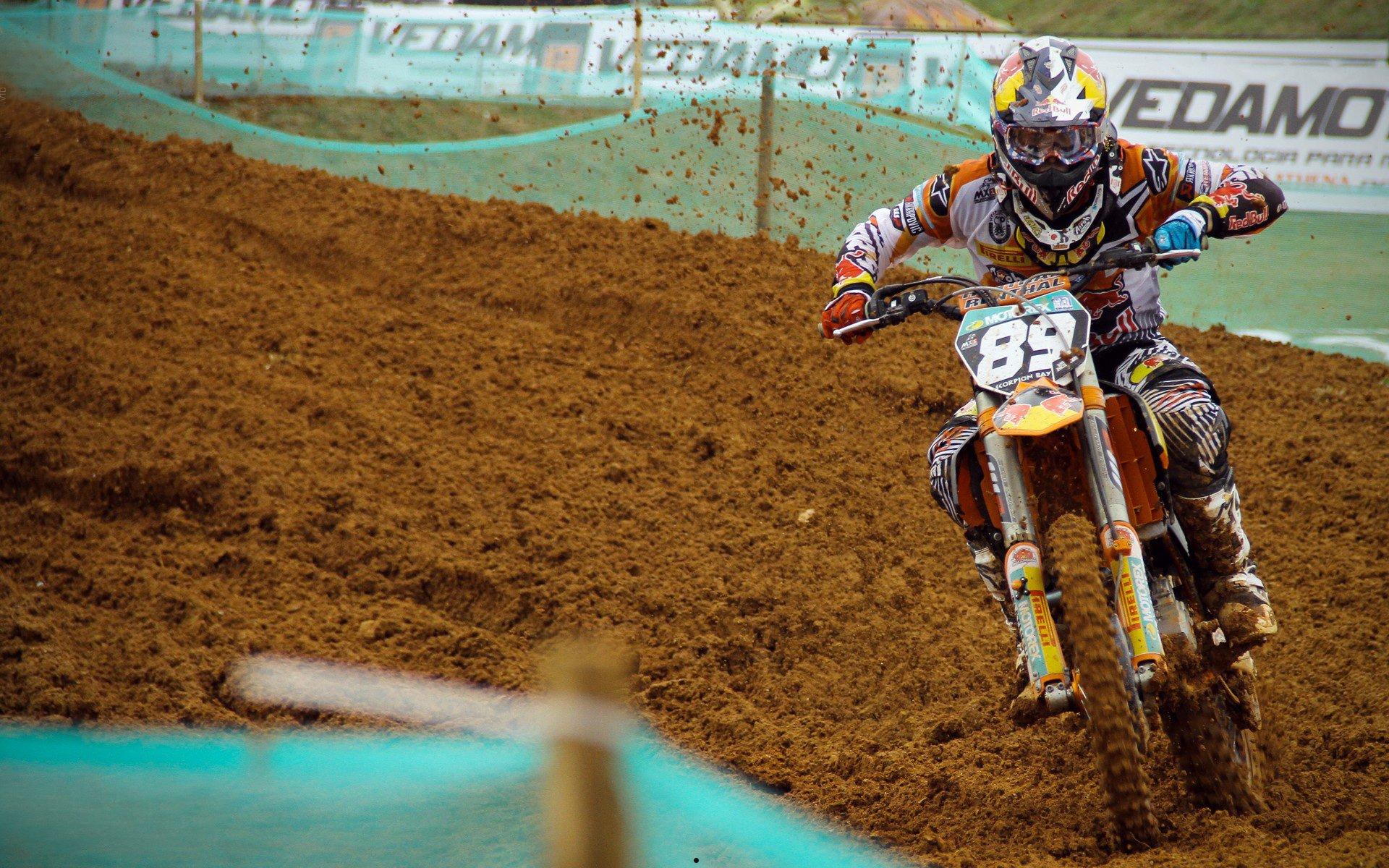 中国游泳队闪耀国际赛场，新星崛起再创佳绩